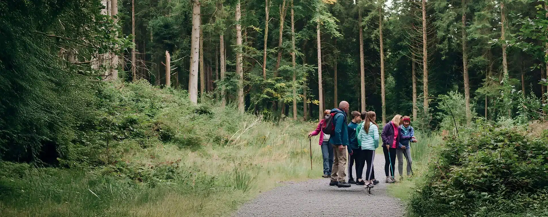 Families hiking in the woods, enjoying outdoor activities and exploring nature. Experience outdoor adventures near Ardmore Country House.