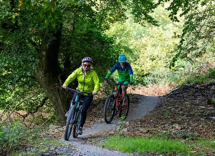 Two cyclists riding on a mountain biking trail through a lush forest, surrounded by greenery. Discover outdoor adventures at Ardmore Country House.