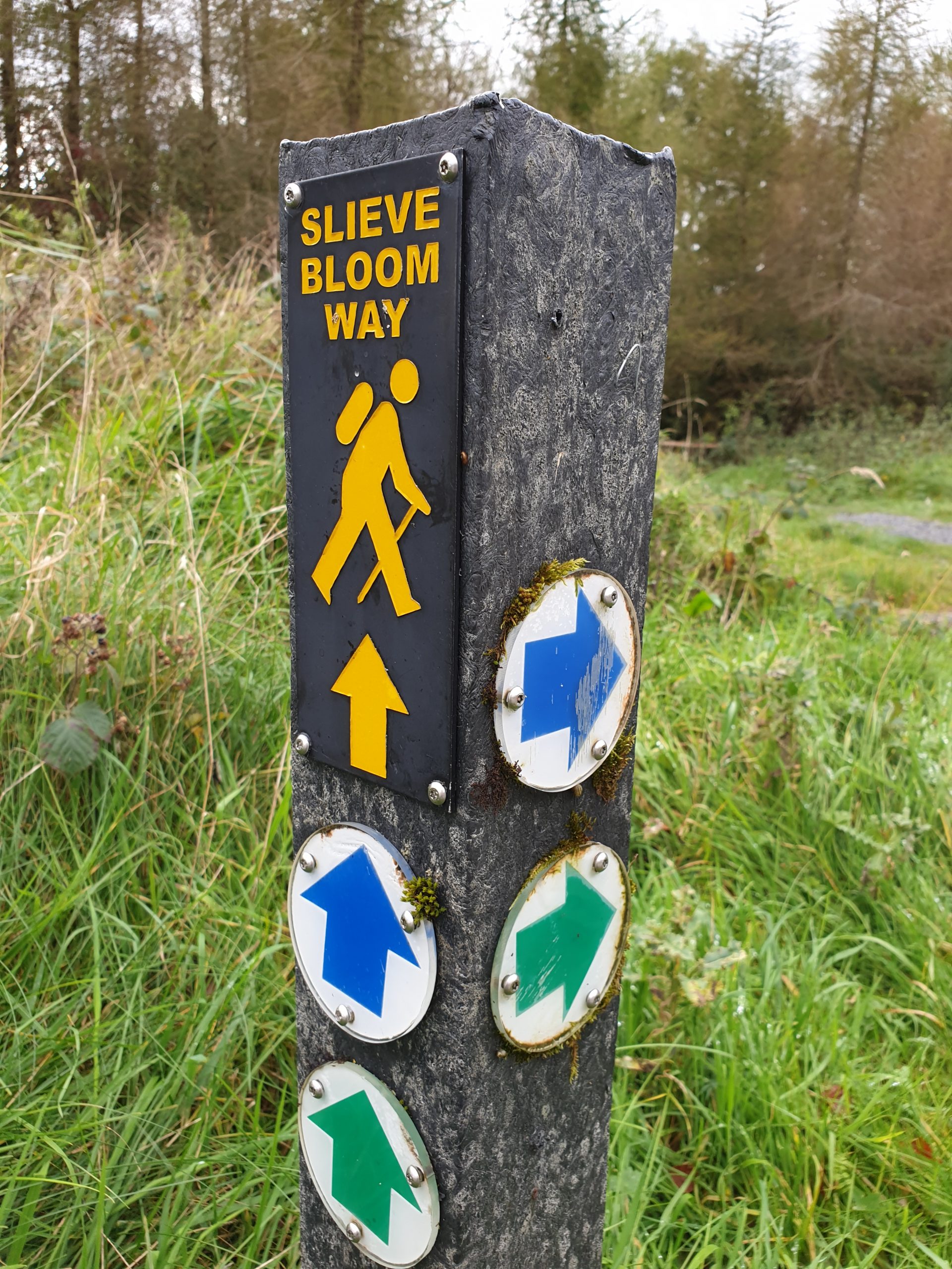The Slieve Bloom Way