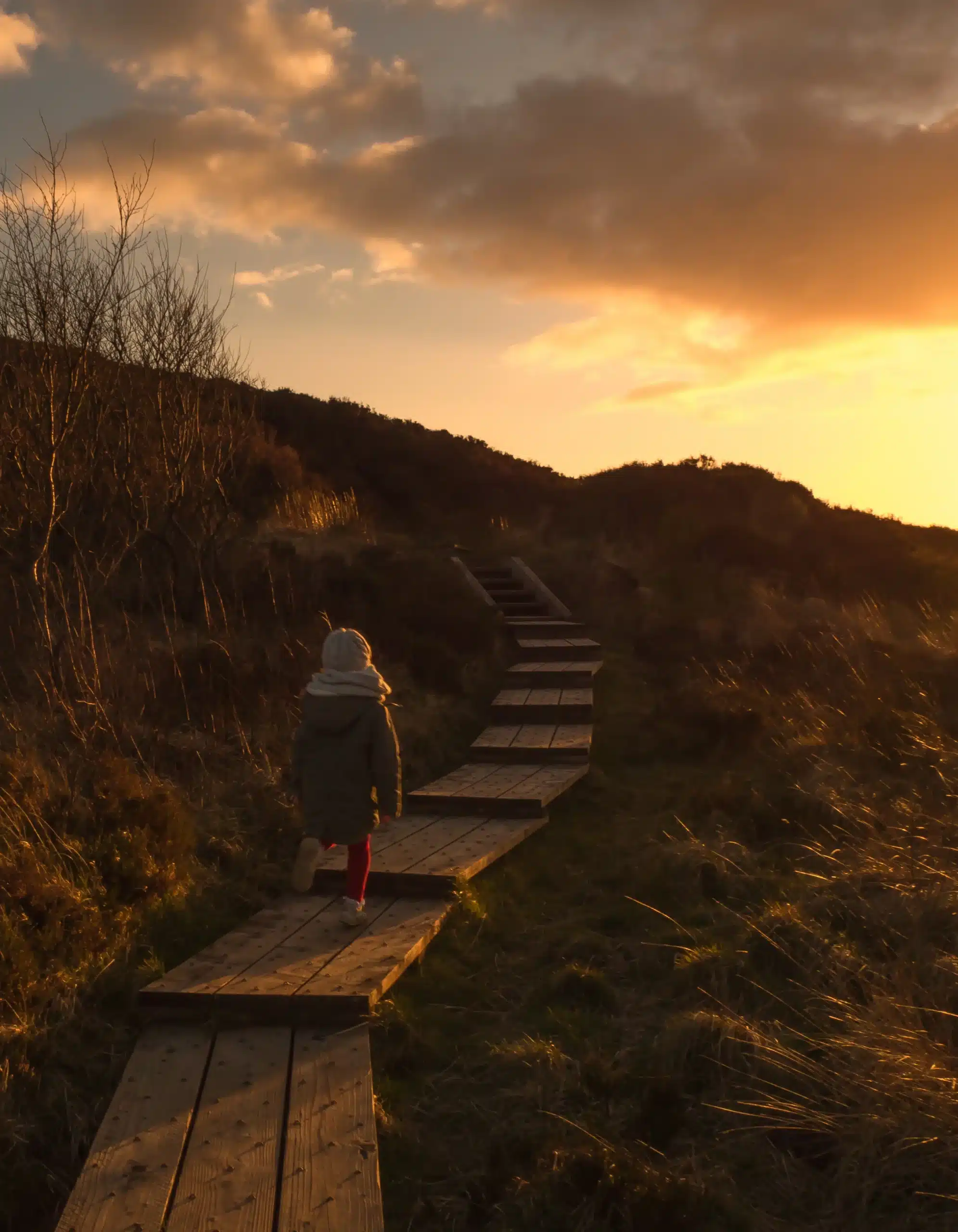 A child walking on a wooden boardwalk at sunset, surrounded by lush grass and shrubs, under a beautiful, colorful sky at Ardmore Country House.