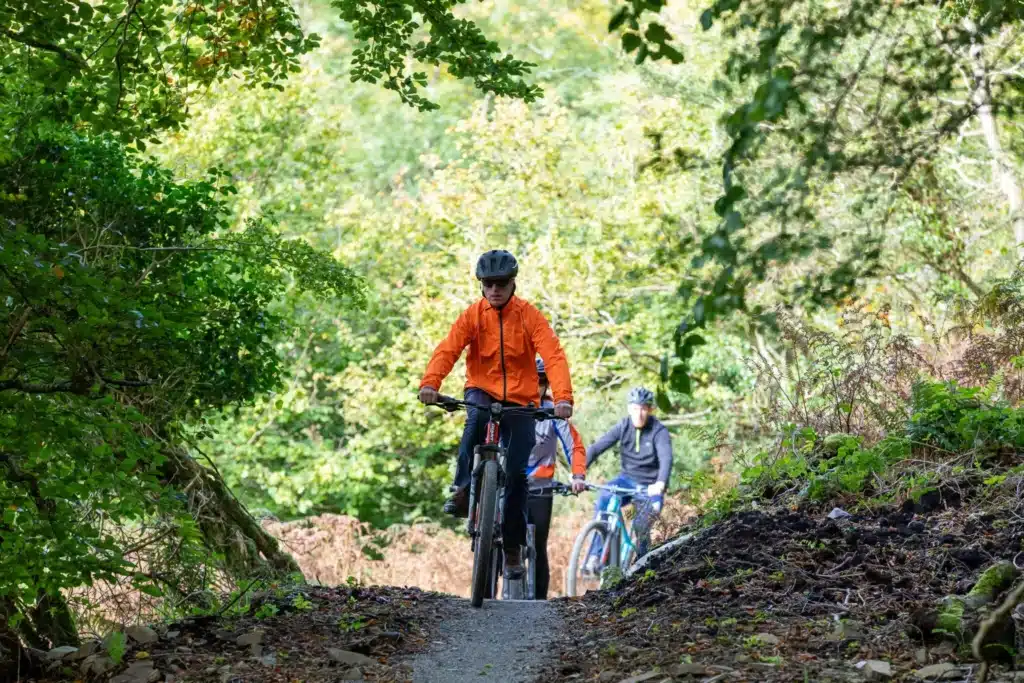 Outdoor biking adventure with cyclists riding through a peaceful wooded trail at Ardmore Country House.