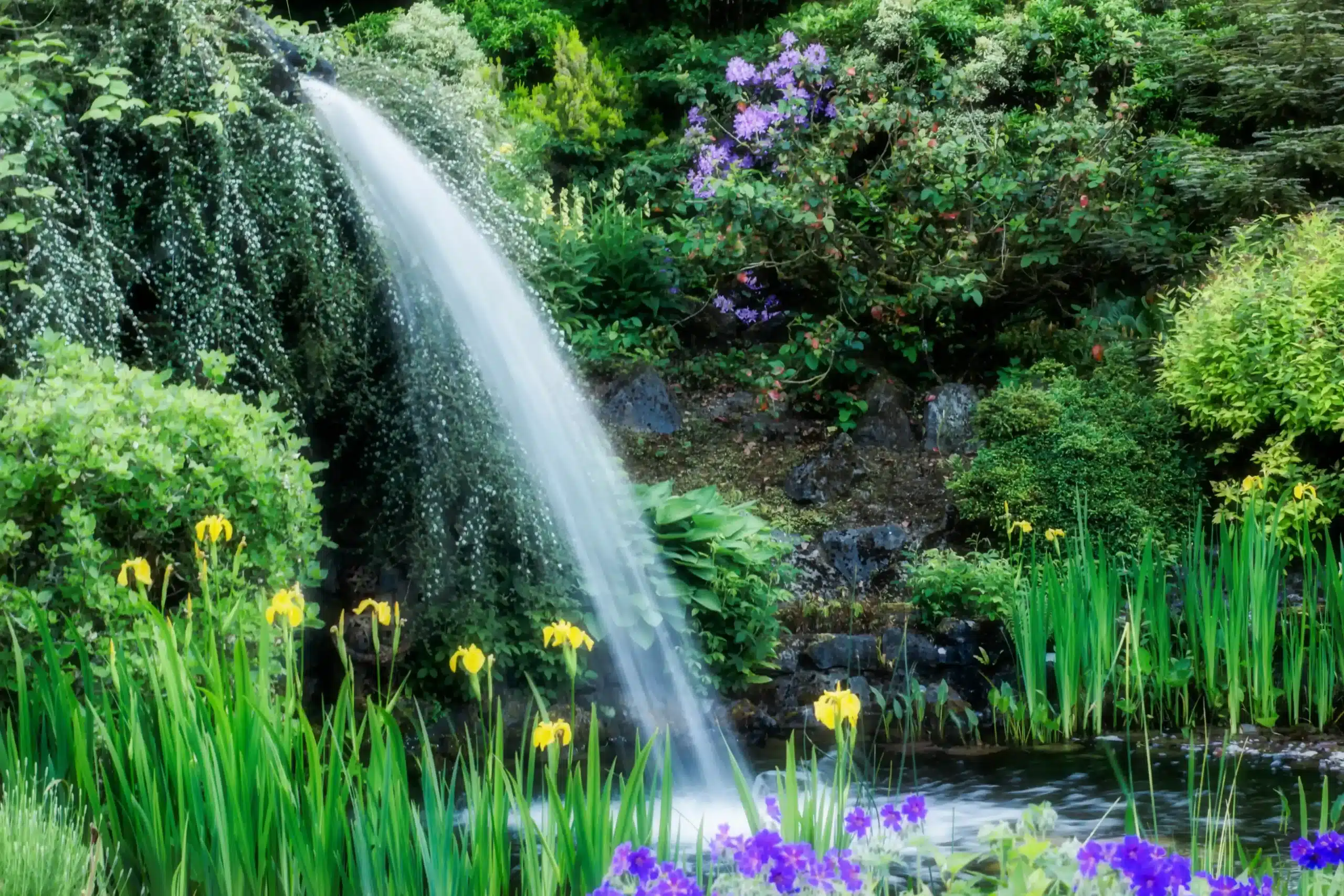 Explore Gash Gardens near Castletown, Co. Laois, with vibrant borders, a rock garden.