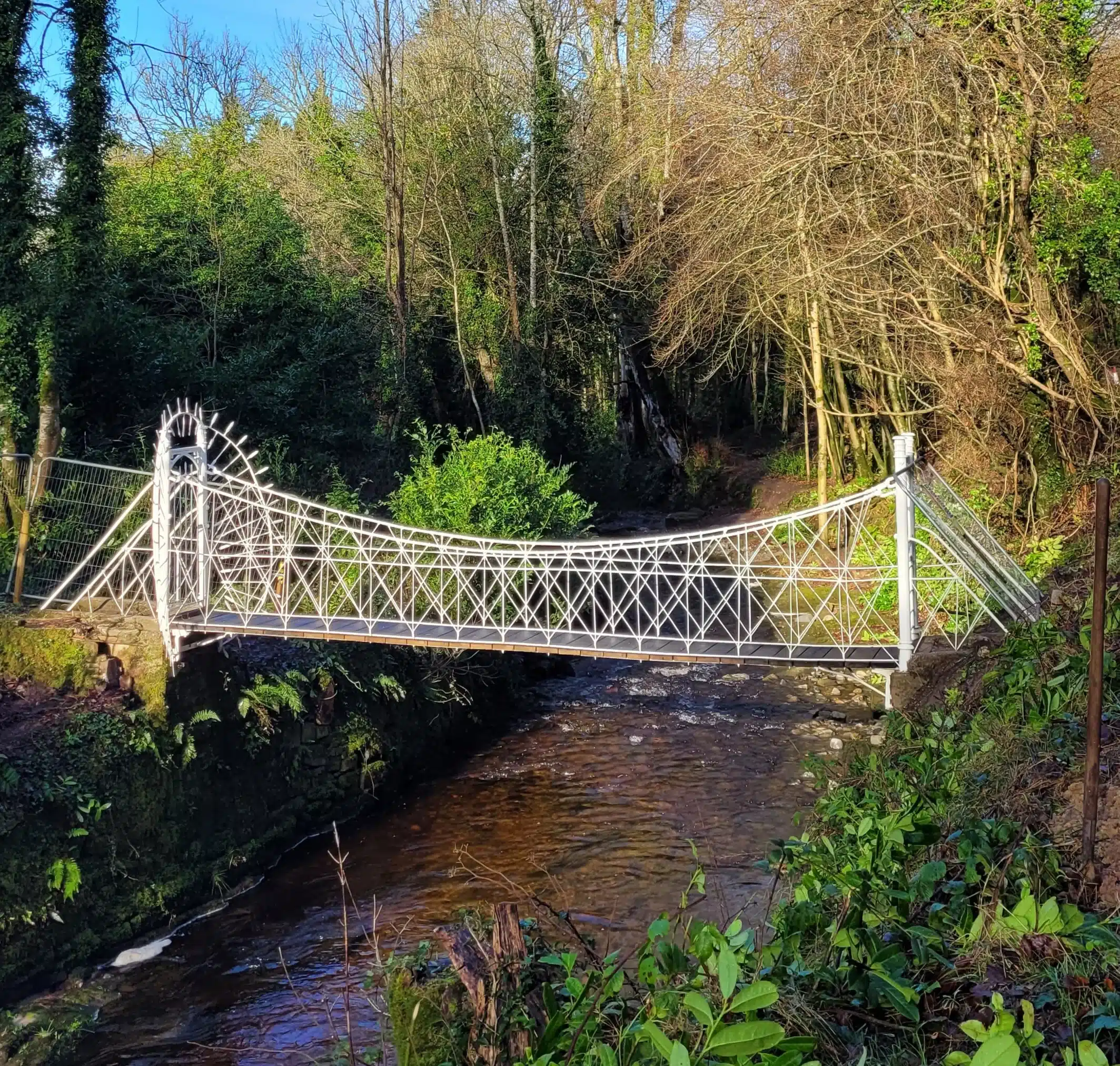 Discover the historic 1840s wire suspension footbridge at Kinnitty Castle, a rare engineering marvel, near Ardmore Country House