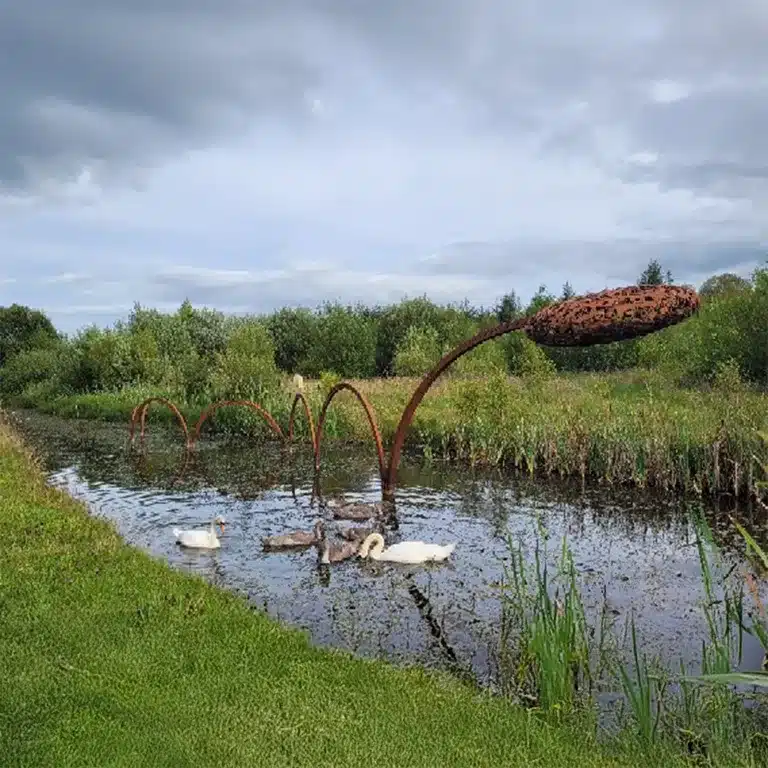 Just 30 minutes from Ardmore Country House, explore Lough Boora Discovery Park’s wildlife, sculpture trail, and industrial history on foot or by bike.