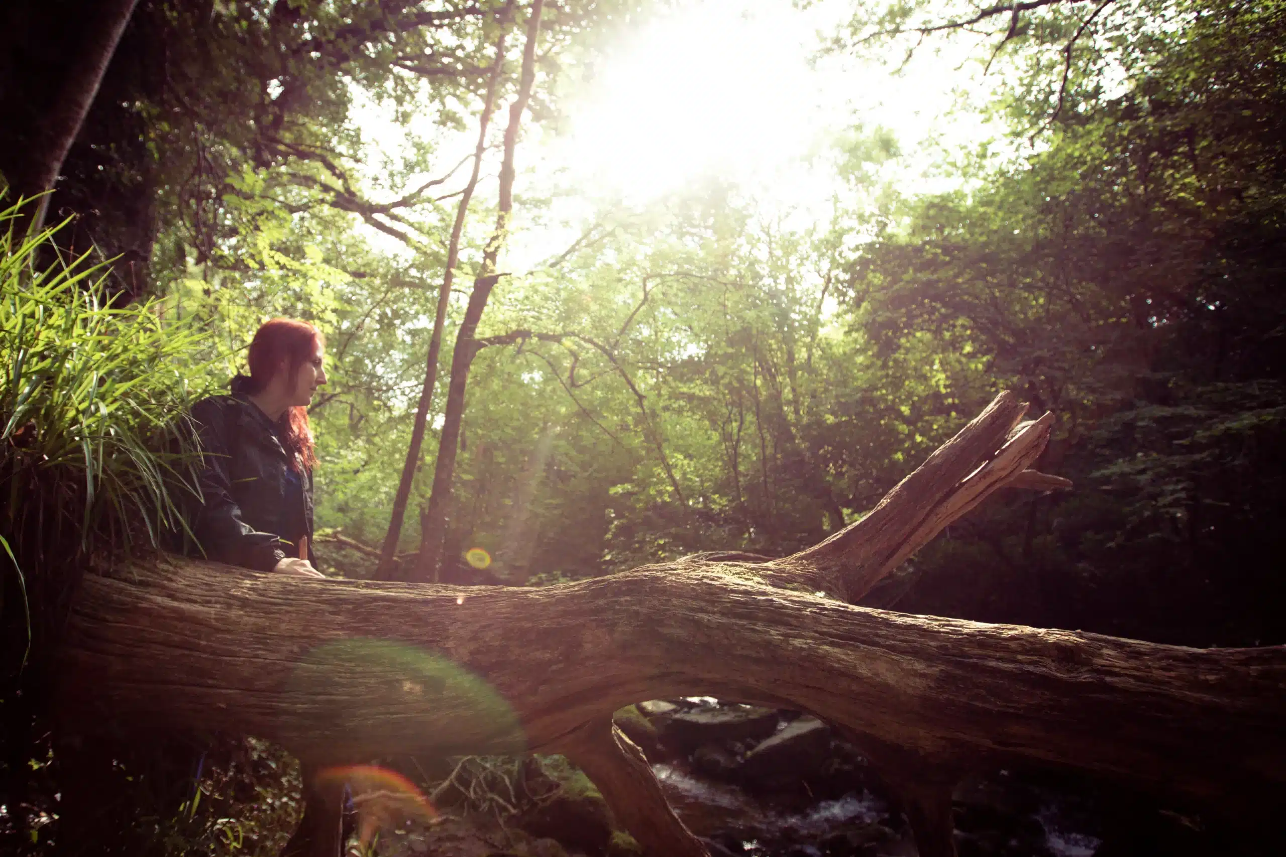 A serene forest setting with a woman sitting on a log, enjoying the warm sunlight filtering through the trees at Ardmore Country House.
