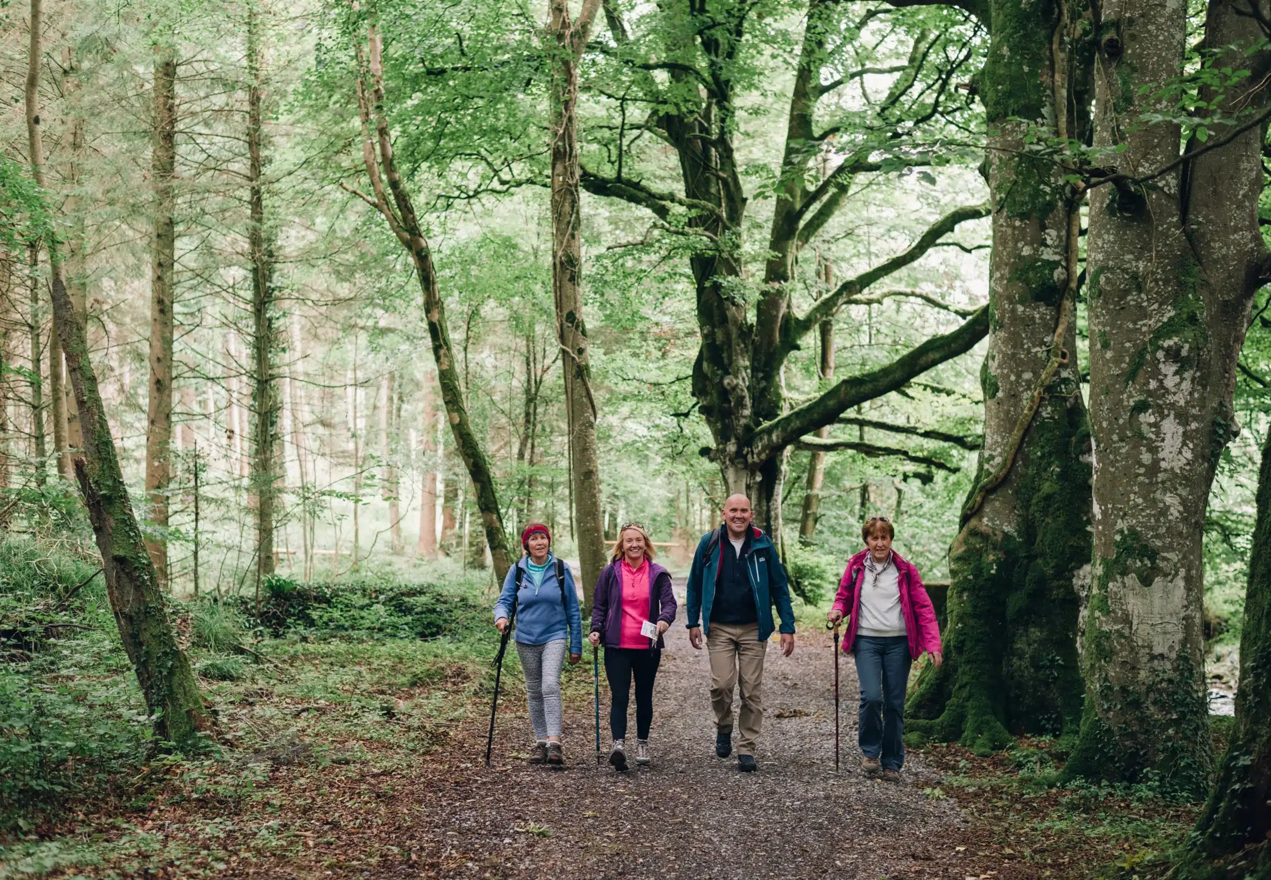 A group of friends enjoying a leisurely nature walk through a serene and peaceful forest, surrounded by lush greenery, at Ardmore Country House