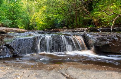 Slieve Bloom Way walking trail
