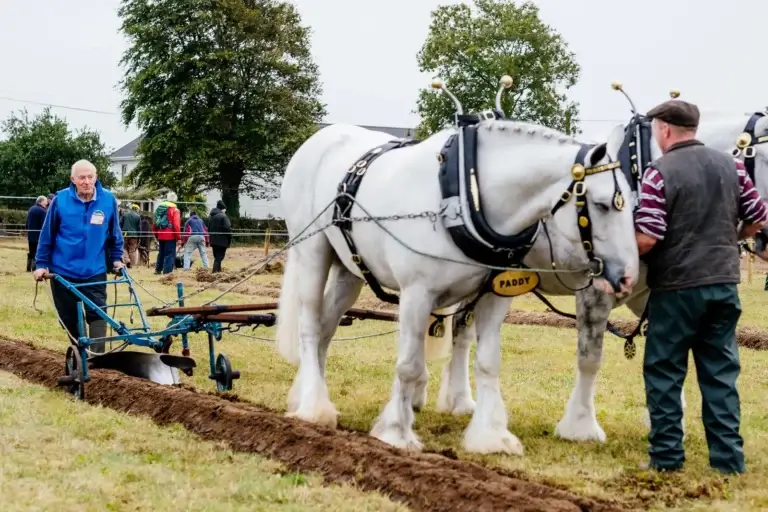 National Ploughing Championships, Europe’s largest outdoor agricultural event, attracting thousands of visitors and showcasing agricultural displays. Visit Ardmore Country House for more details.