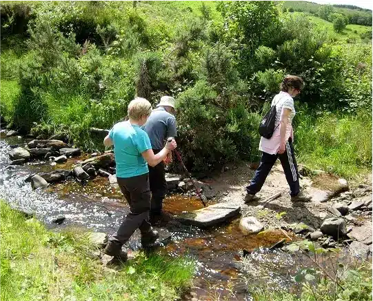 People hiking along a peaceful stream in a vibrant green landscape, enjoying nature at Ardmore Country House