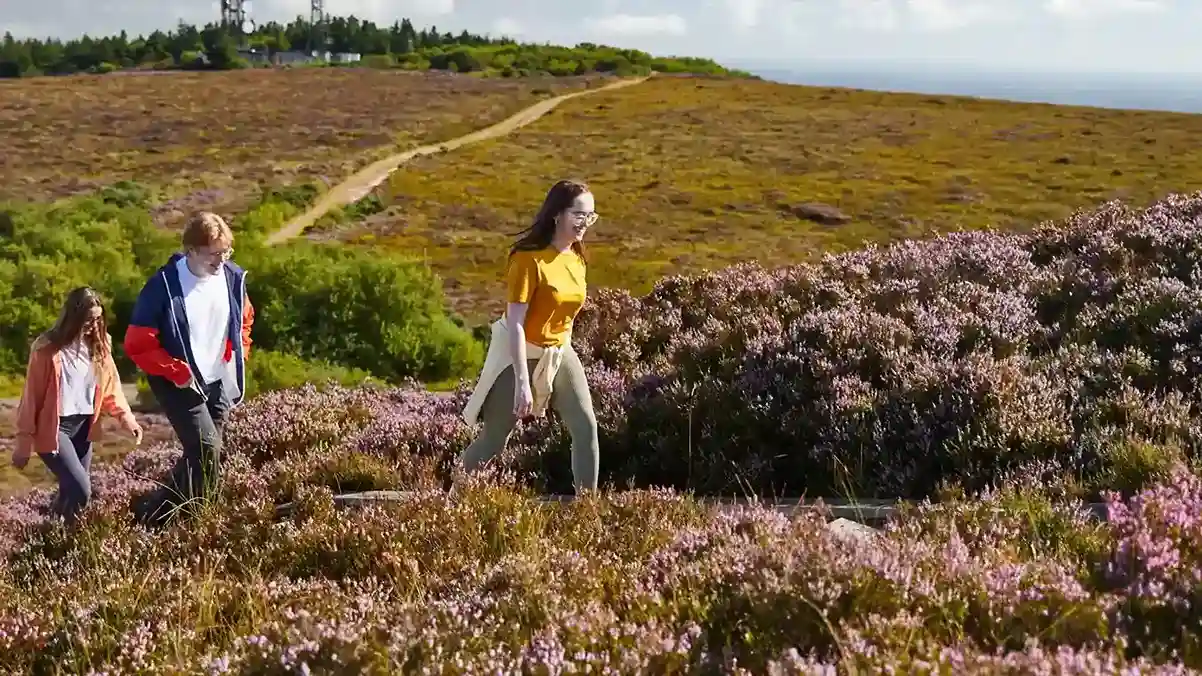 Exploring the flora and fauna at the Laois Walking Festival with guided walks and local experts. Enjoy a family-friendly adventure near Ardmore Country House.