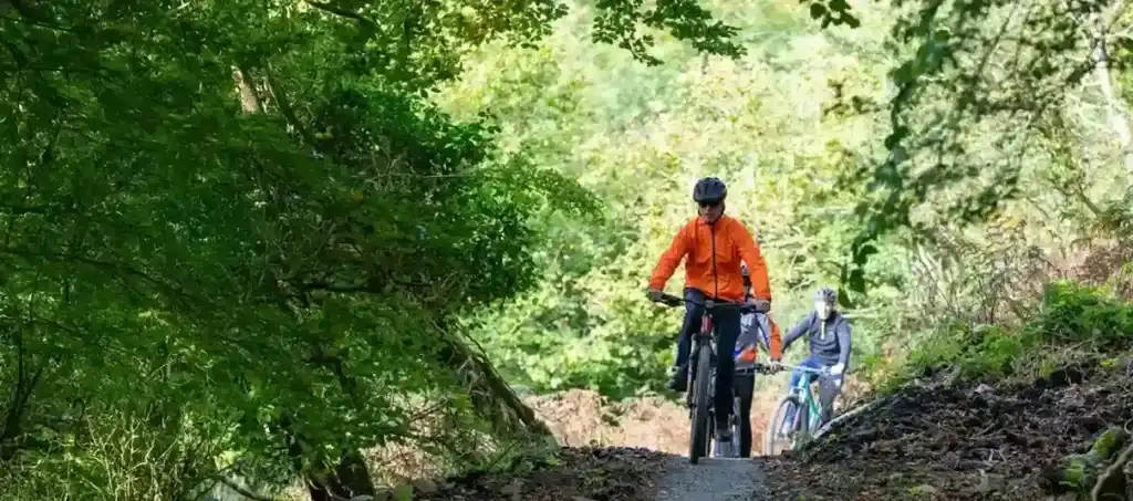 Outdoor biking adventure with cyclists riding through a peaceful wooded trail at Ardmore Country House.