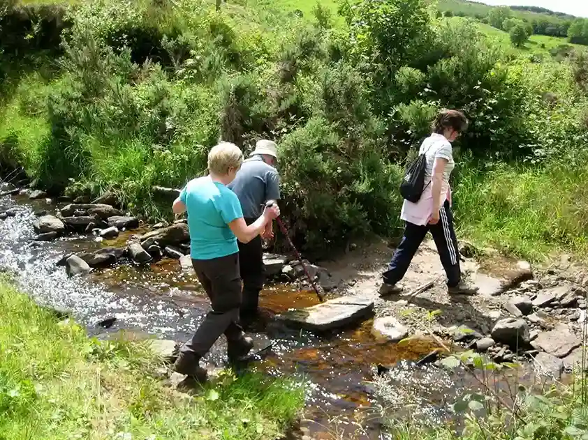 Walkers at the Slieve Bloom Walking Festival exploring scenic trails. Discover the beauty